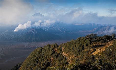 bromo fly|More.